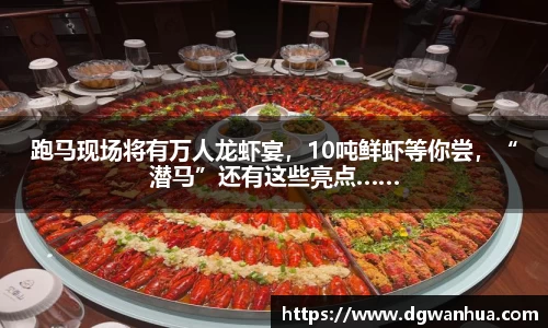 贝博BB艾弗森官网